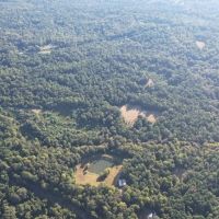 Hunting Land for Sale in Natchez MS images 5