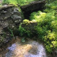 Artesian Well Cabin Creek Spring Shop 23 Acres images 4