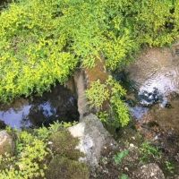 Artesian Well Cabin Creek Spring Shop 23 Acres images 5