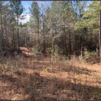 36 Acres in Lawrence County in Monticello MS