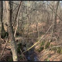 36 Acres in Lawrence County in Monticello MS images 2