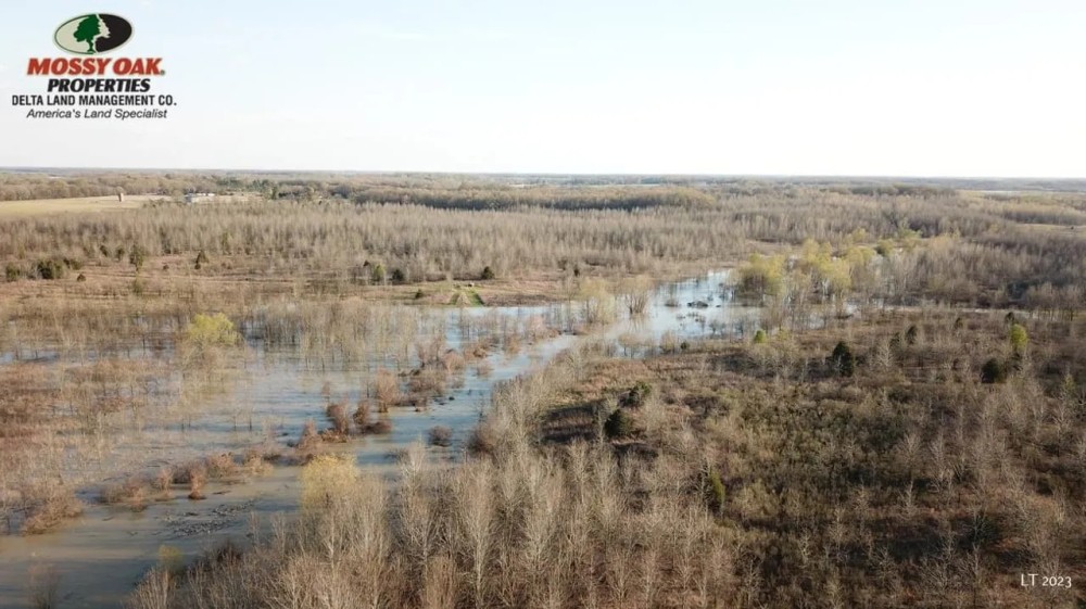 1062 - acres on Departee Creek featured image