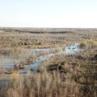 1062 - acres on Departee Creek