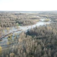1062 - acres on Departee Creek images 2