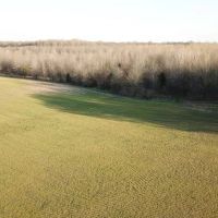 1062 - acres on Departee Creek images 4
