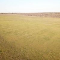 1062 - acres on Departee Creek images 5