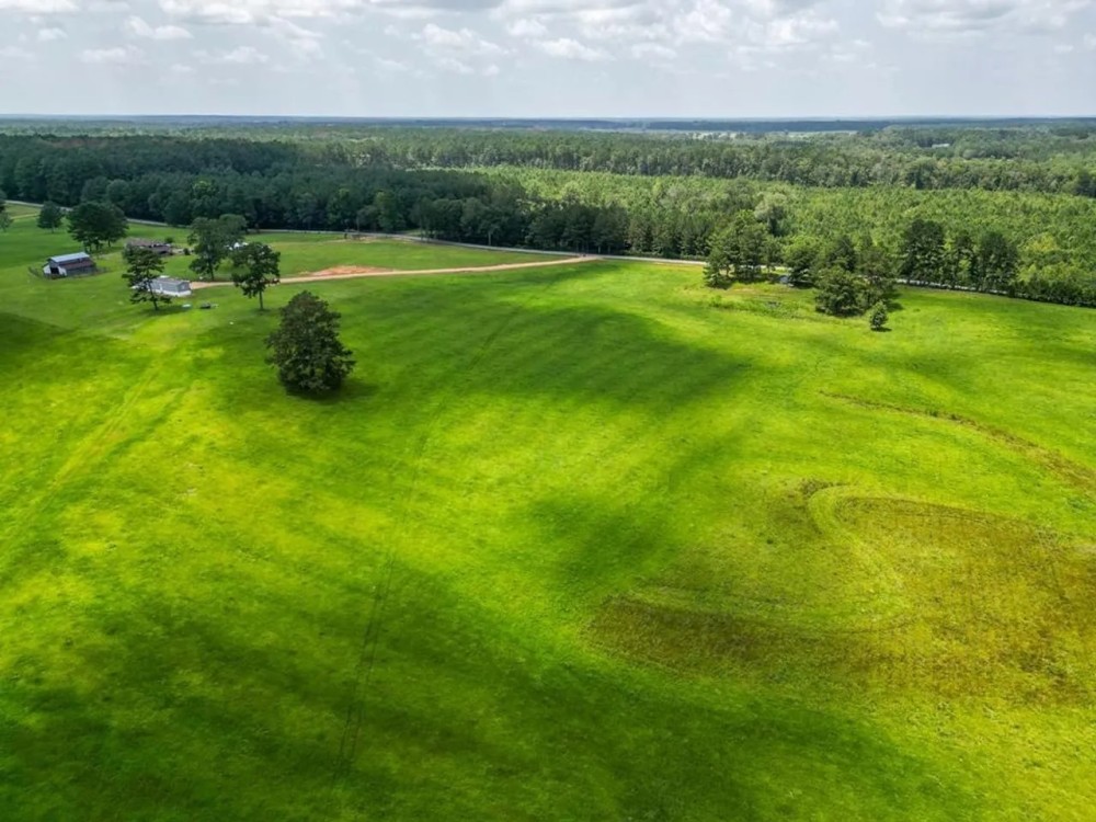 105.27 Acres Pastureland Home for Sale Lincoln County MS featured image