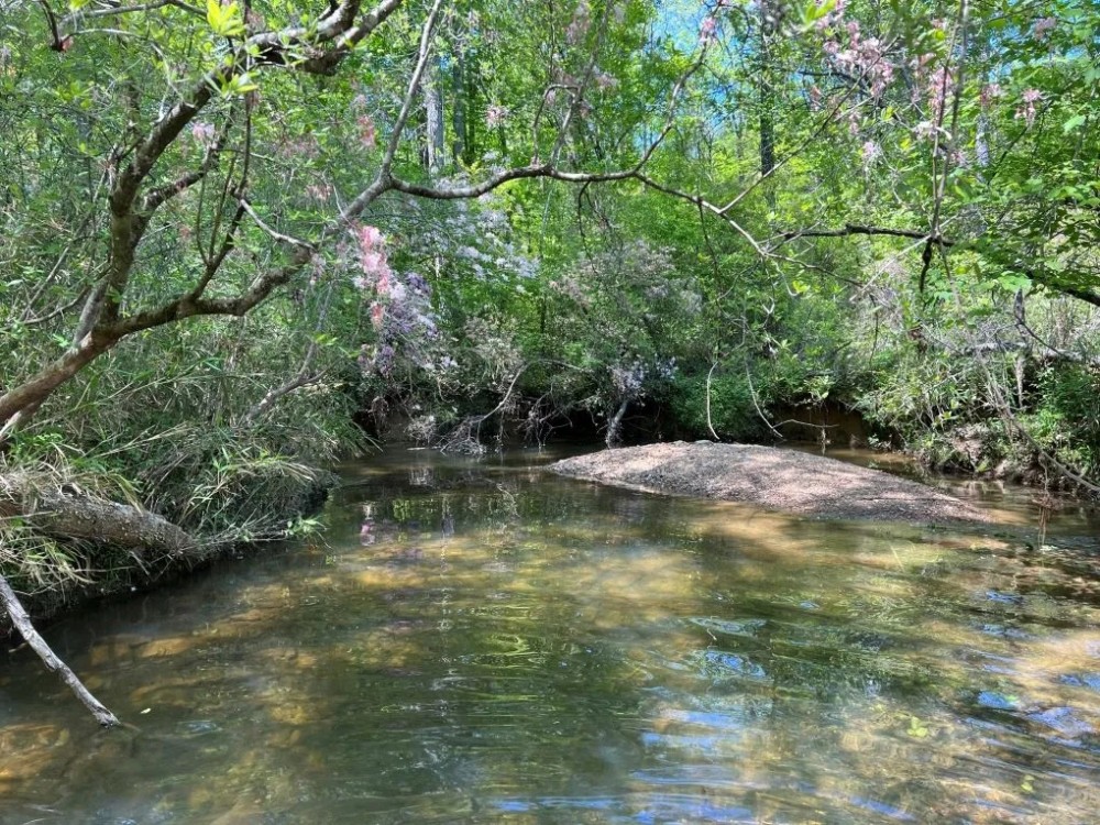 17-013-brewer-creek featured image