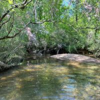 17-013-brewer-creek
