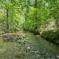 17-013-brewer-creek images 2