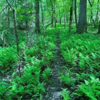 17-013-brewer-creek images 3