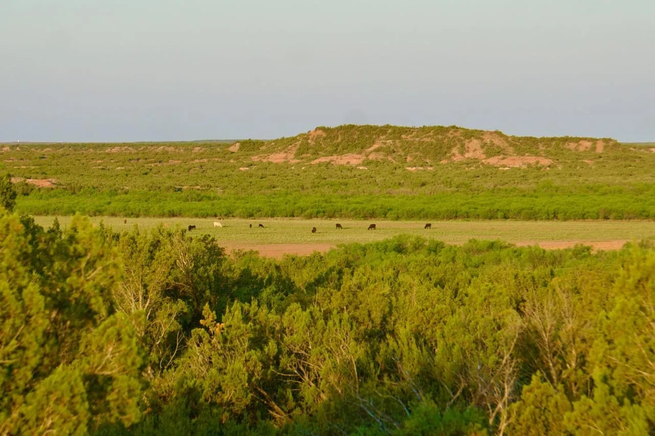 Chaparral River Ranch Hunting Land for Sale