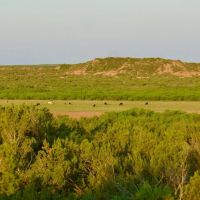 Chaparral River Ranch images 3