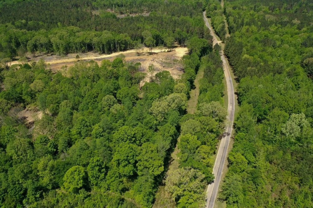 Webster County 62 Acres Hunting and Timber featured image