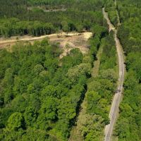 Webster County 62 Acres Hunting and Timber