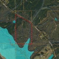 Webster County 62 Acres Hunting and Timber images 2