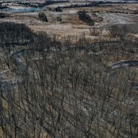 Chariton River 40 images 2