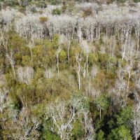 Penholloway Creek images 4