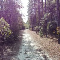 Penholloway Creek images 5