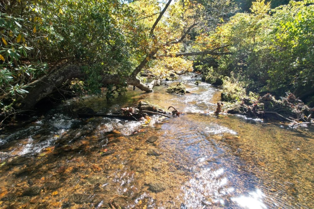 67.5 Acres in Patrick County Virginia featured image