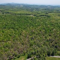 67.5 Acres in Patrick County Virginia images 4