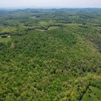 67.5 Acres in Patrick County Virginia images 5