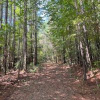 13.16 acres of Recreational and Residential Land With a Pond For Sale in Vance County NC images 4
