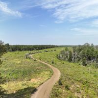 189 Acres CR 3725 images 2