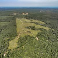 189 Acres CR 3725 images 4