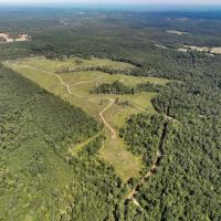 189 Acres CR 3725 images 5