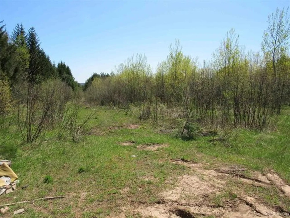U.P. Michigan Wooded 40 Acres 50111417 featured image