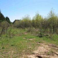 U.P. Michigan Wooded 40 Acres 50111417