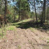 U.P. Michigan Wooded 40 Acres 50111417 images 5
