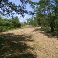 Fayette 96 images 4