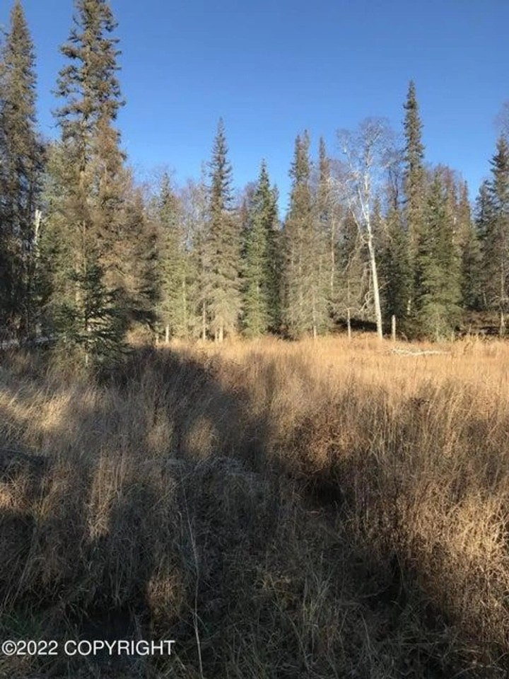 40 Acres with a pond featured image