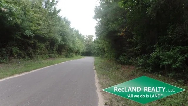 38.65 ac - Timberland for Home Site featured image