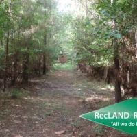 38.65 ac - Timberland for Home Site images 2
