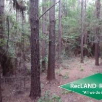 38.65 ac - Timberland for Home Site images 4