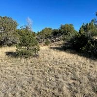 Lot 668 Rio Cucharas Phase 2 337-207 Walsenburg CO 81089