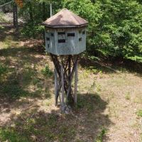 260 - ac Tract For Sale in Butler County Missouri