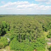 4.36 acres of Residential and Hunting Land For Sale in Lenoir County NC images 3