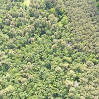 4.36 acres of Residential and Hunting Land For Sale in Lenoir County NC images 5