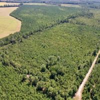 60 acres of investment Recreational and Timberland for sale in Cumberland County NC images 2