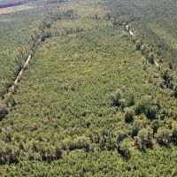 60 acres of investment Recreational and Timberland for sale in Cumberland County NC images 3