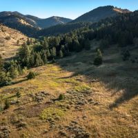 Springhill Ridge images 1