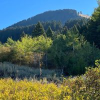 Springhill Ridge images 2
