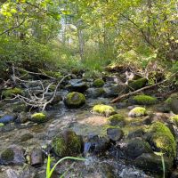 Springhill Ridge images 3