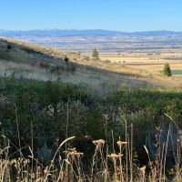 Springhill Ridge images 5