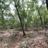14 Acres in Harrison County in Saucier MS images 3