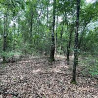 14 Acres in Harrison County in Saucier MS images 4